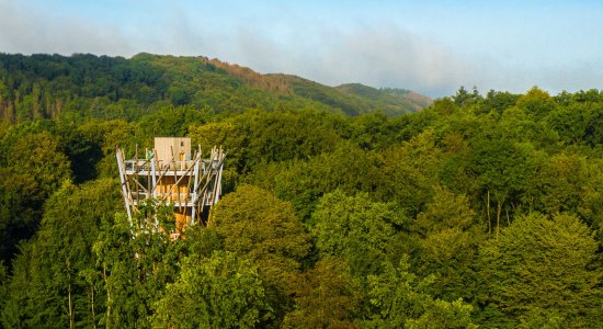 Waldwochenende 2020, © Baumwipfelpfad Bad Iburg Waldwochenende 2020, © Baumwipfelpfad Bad Iburg