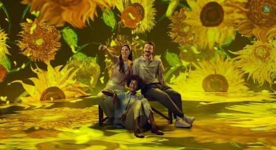 Van Gogh, © Exibition Hub