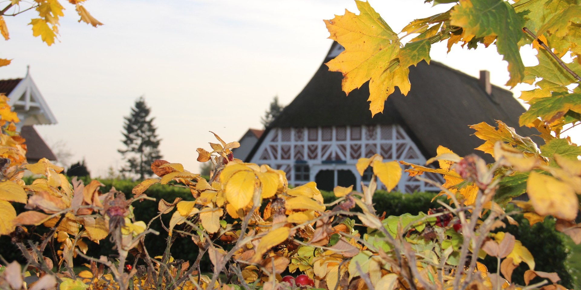 Herbstliches Fachwerkhaus im Alten Land am Elbstrom, © Tourismusverband LK Stade/Elbe e.V.