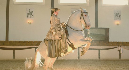Die Pferde der Hofreitschule präsentieren ihr können, © Stadt Bückeburg