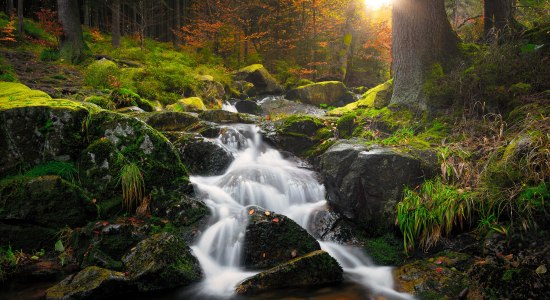 Untere Bodefälle bei Braunlage, © TMN/Alexander Kaßner
