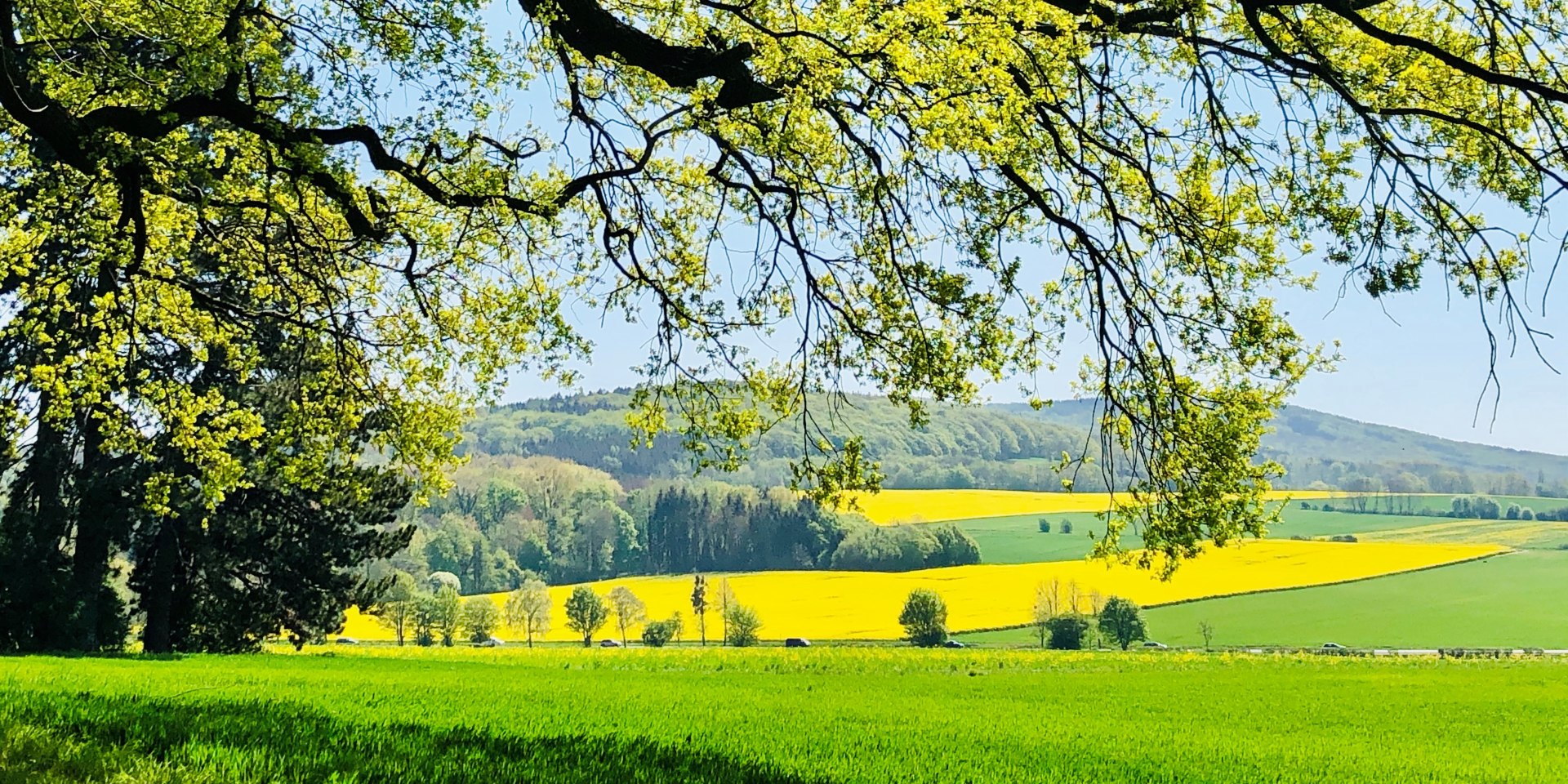 Deister im Frühling , © Kur- und Tourismusgesellschaft Staatsbad Nenndorf mbH