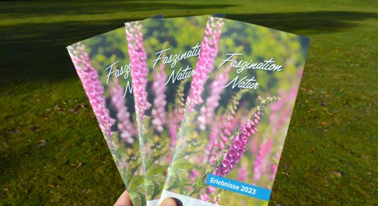 Faszination Natur 2023, © SVR Faszination Natur 2023, © SVR