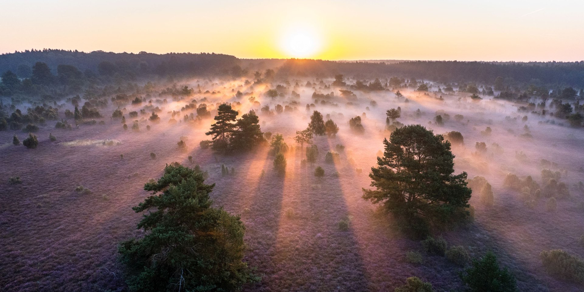 Lüneburger Heide Gewinnerbild, © LHG / Thorsten Link