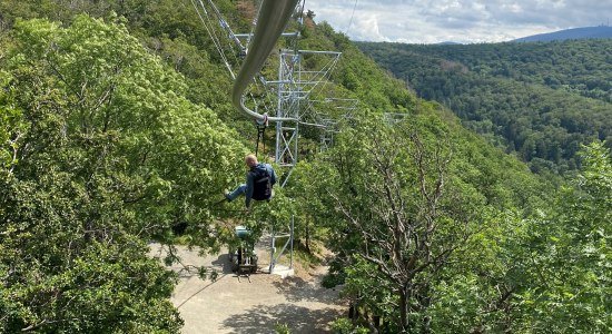 BaumSchwebeBahn Harz in Bad Harzburg, © BaumSchwebeBahn Harz