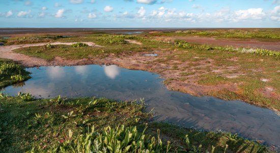 Wattenmeereinstieg Borkum, © Constantin Ticu Wattenmeereinstieg Borkum, © Constantin Ticu