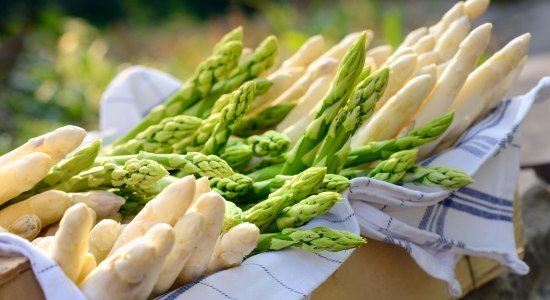Spargel , © TMN/Francesco Carovillano Spargel , © TMN/Francesco Carovillano
