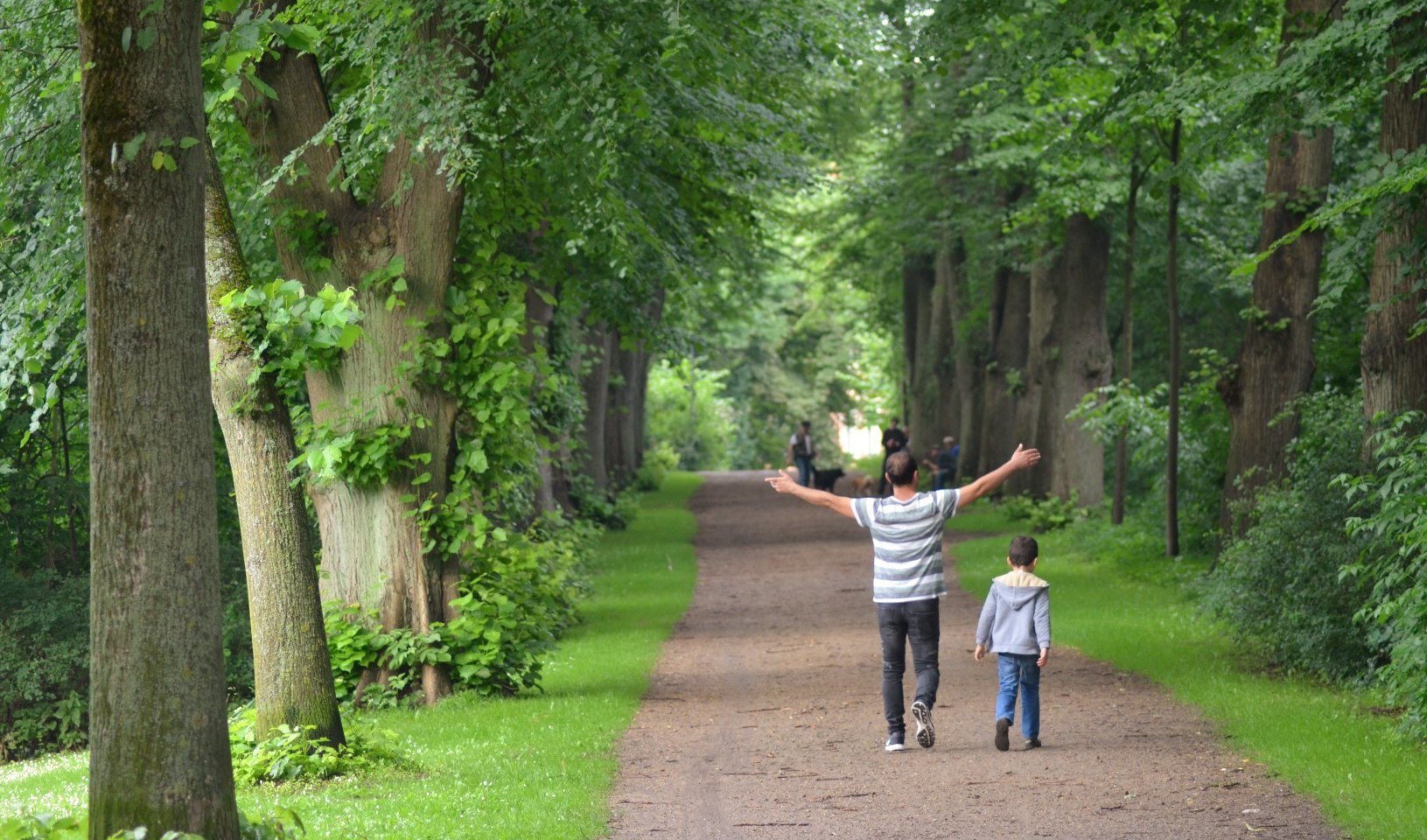 Linden-Allee auf dem Graalwall in Lüneburg, © Max Peters