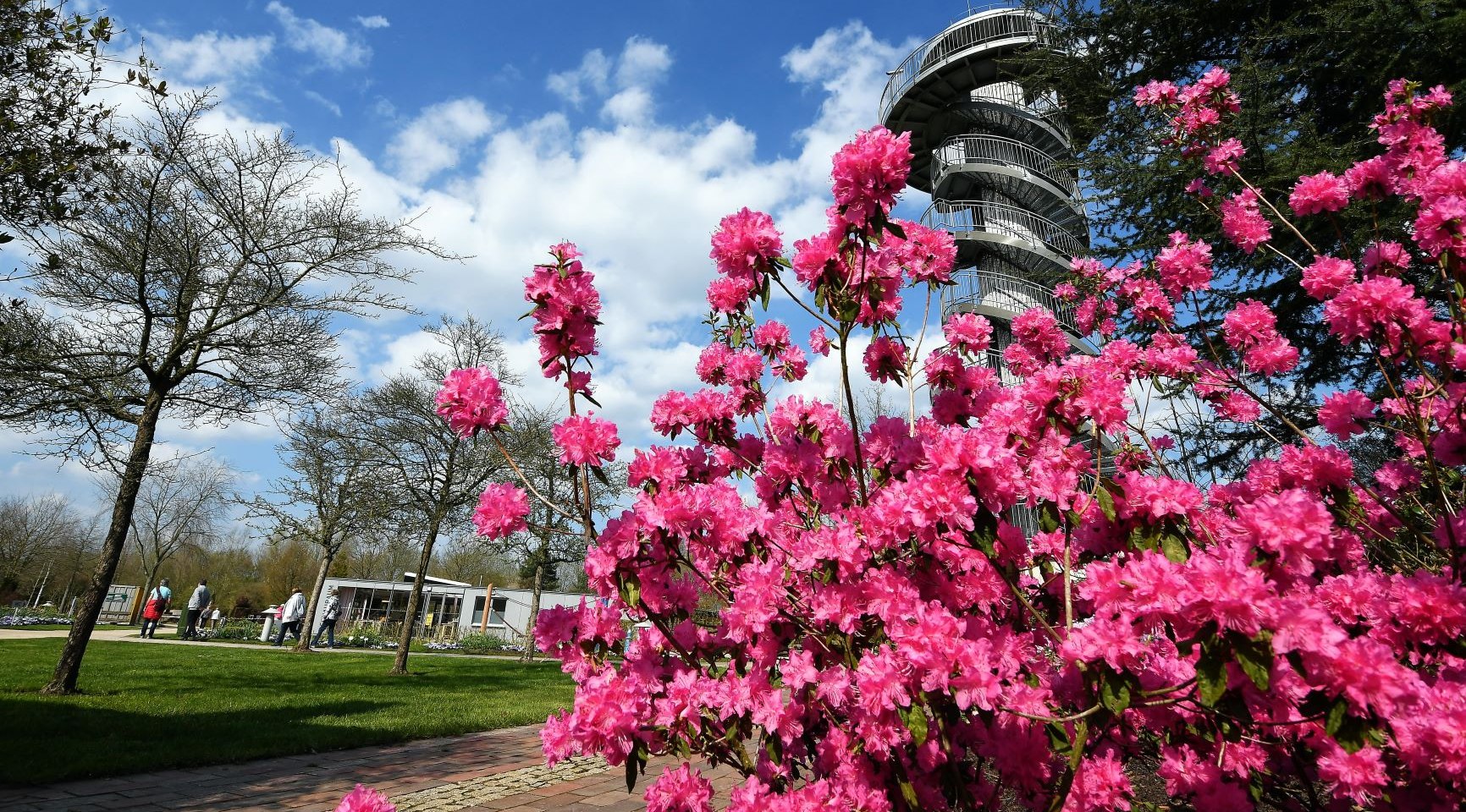 Park der Gärten Sonderöffnung „Frühlingsboten im Park“ , © Hans-Jürgen Zietz