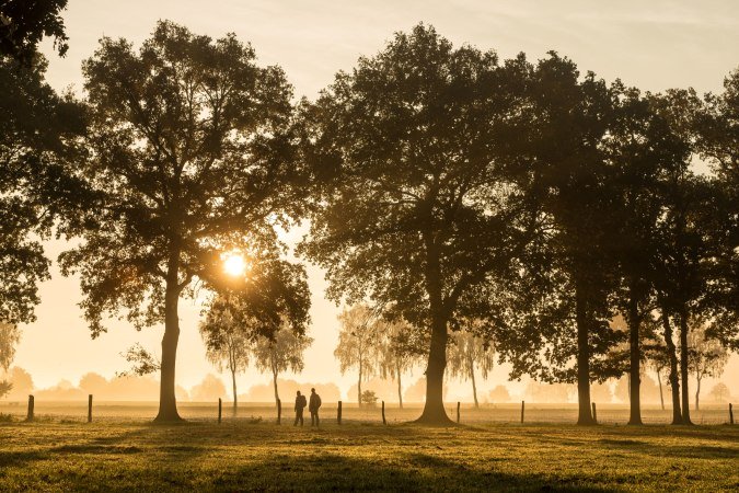 Pilgerer bei stimmungsvollem Licht