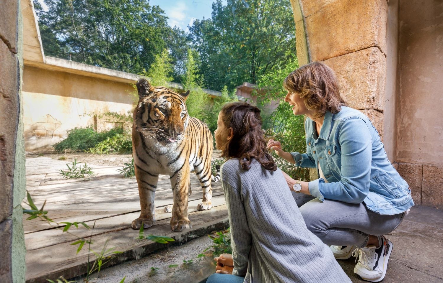 Begegnung Im Dschungelpalast, © Erlebnis Zoo Hannover