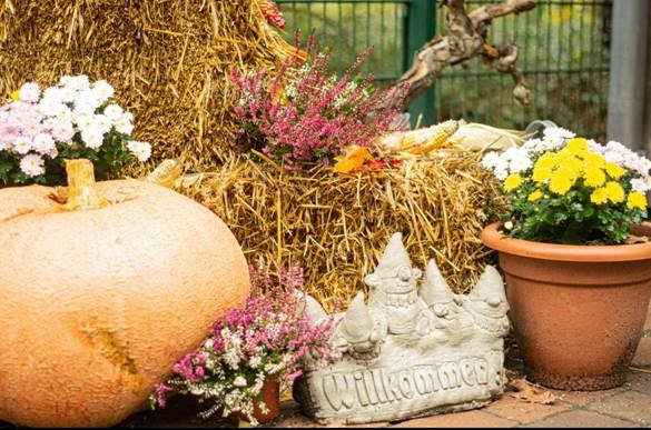 Herbstmarkt Müden , © Wildpark Müden GmbH