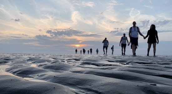 Das Watt ruft, © Wattwanderzentrum Ostfriesland Das Watt ruft, © Wattwanderzentrum Ostfriesland