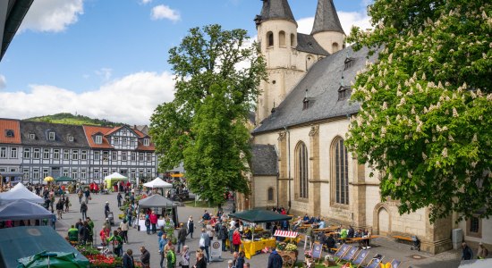 Gartenmarkt Jakobikirchhof, © Goslar Marketing GmbH