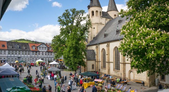 Gartenmarkt Jakobikirchhof, © Goslar Marketing GmbH Gartenmarkt Jakobikirchhof, © Goslar Marketing GmbH