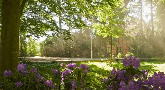 Idylle am Wegesrand, © Grafschaft Bentheim Tourismus / Rudi Schubert