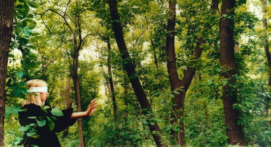 Mythos Wald, © Gaskell Mythos Wald, © Gaskell