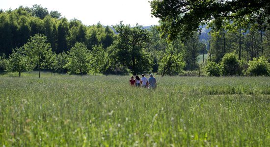 Frühsommer im Barfußpark, © Barfußpark Lüneburger Heide Frühsommer im Barfußpark, © Barfußpark Lüneburger Heide