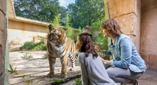 Begegnung Im Dschungelpalast, © Erlebnis Zoo Hannover Begegnung Im Dschungelpalast, © Erlebnis Zoo Hannover