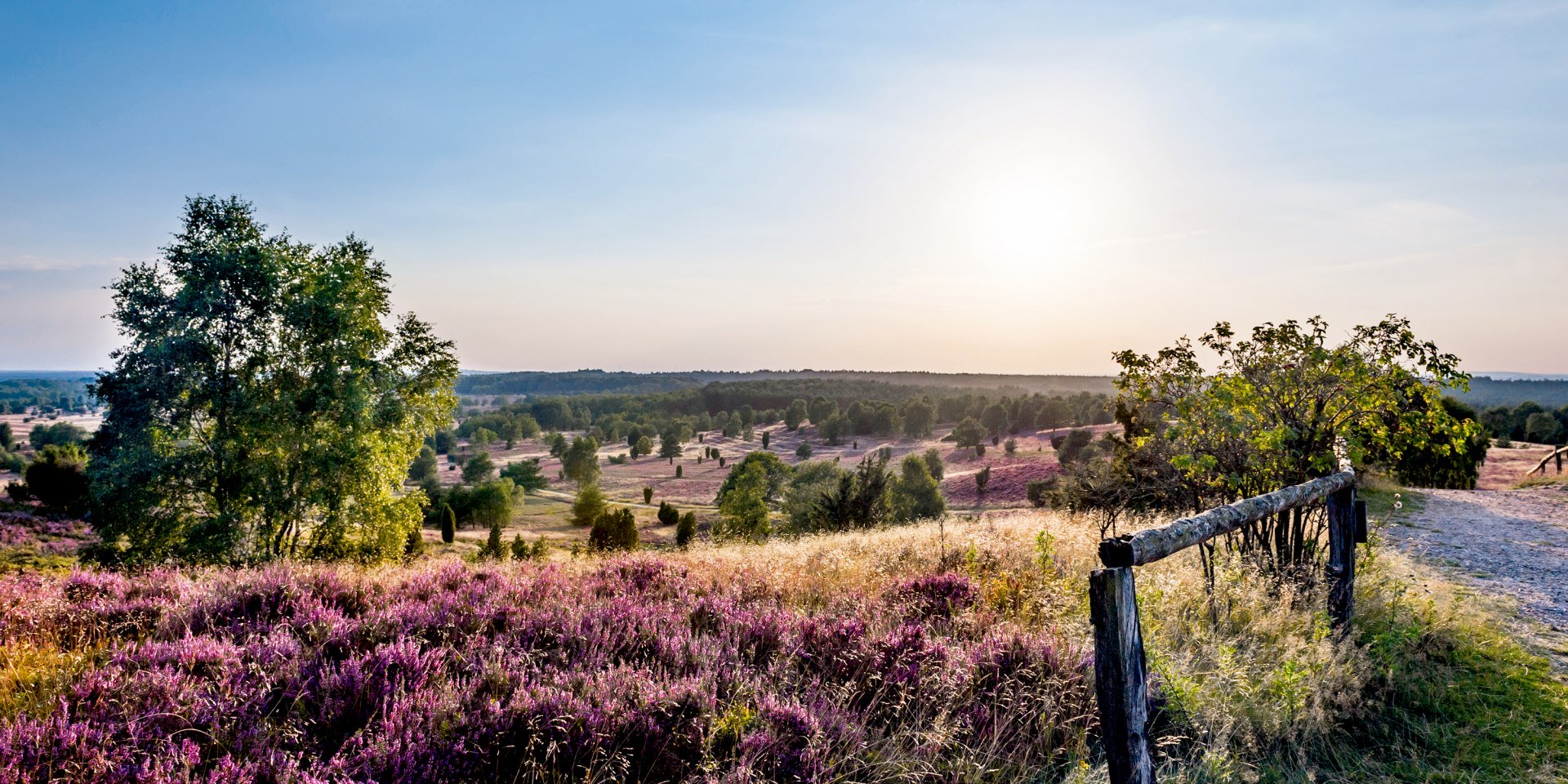 Wilseder Berg in der Lüneburger Heide, © Lüneburger Heide GmbH / Markus Tiemann