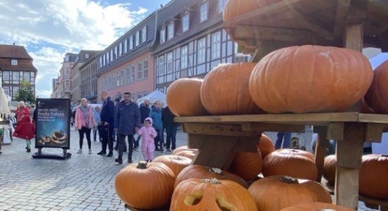 Herbstmarkt Kürbise, © HamelnMarketing