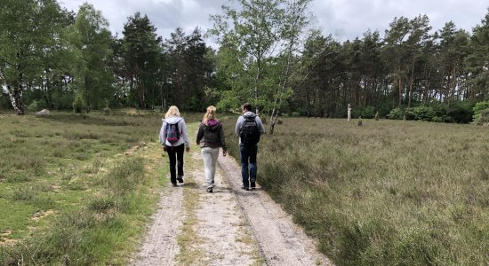 Die Mittelweser-Region bietet interessante Wander- und Pilgerwege. Vom kleinen Rundkurs über historische Promenaden, Fernwanderwege bis zu Pilgerwegen ist alles dabei., © Mittelweser-Touristik GmbH Die Mittelweser-Region bietet interessante Wander- und Pilgerwege. Vom kleinen Rundkurs über historische Promenaden, Fernwanderwege bis zu Pilgerwegen ist alles dabei., © Mittelweser-Touristik GmbH