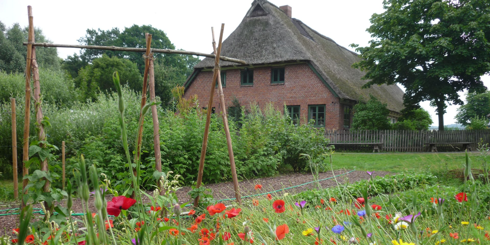 Garten im Museumsbauernhof Wennerstorf, © FLMK