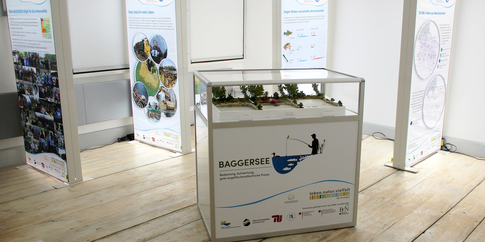 Baggersee-Forschung anschaulich vermittelt, © Biosphaerium Elbtalaue GmbH