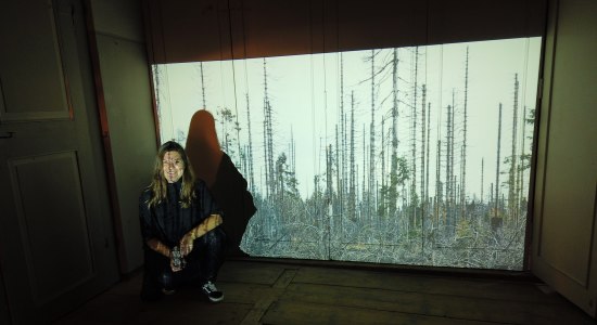Wanderausstellung &quot;I have a dream&quot; , © Mandy Gebara / Nationalpark Harz