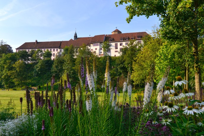 Blick auf die Iburg, © Tourismusverband Osnabrücker Land / Dieter Schinner