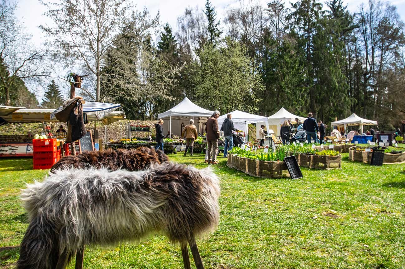 Frühjahrsmarkt im Wildpark Müden , © Wildpark Müden GmbH