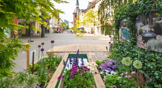 Oldenburg Stadtgärten, © Oldenburg Tourismus und Marketing GmbH/ Mario Dirks