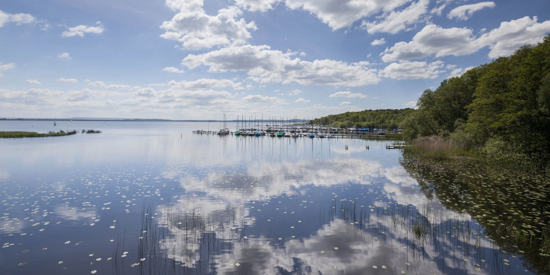 Blick aufs Steinhuder Meer, rechts Segelboote am Liegeplatz, © Naturpark Steinhuder Meer, Region Hannover/ Claus Kirsch