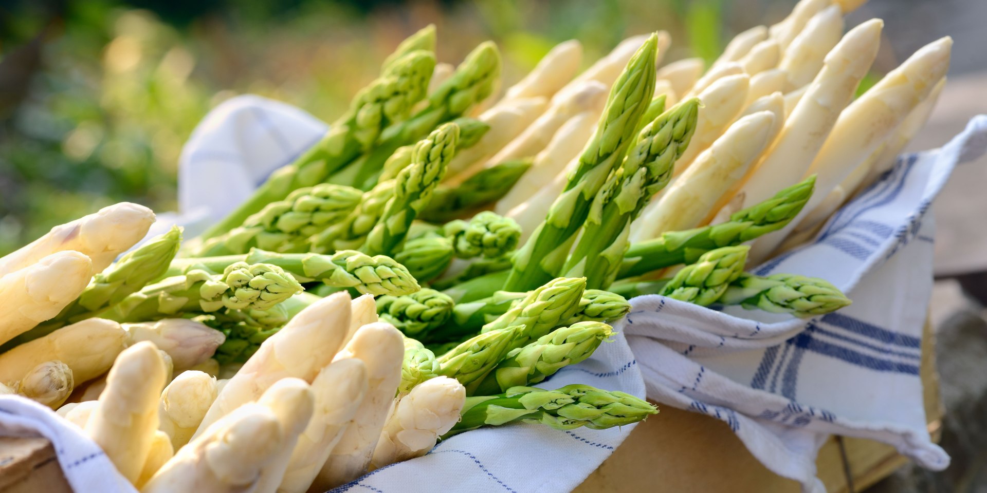 Spargel , © TMN/Francesco Carovillano