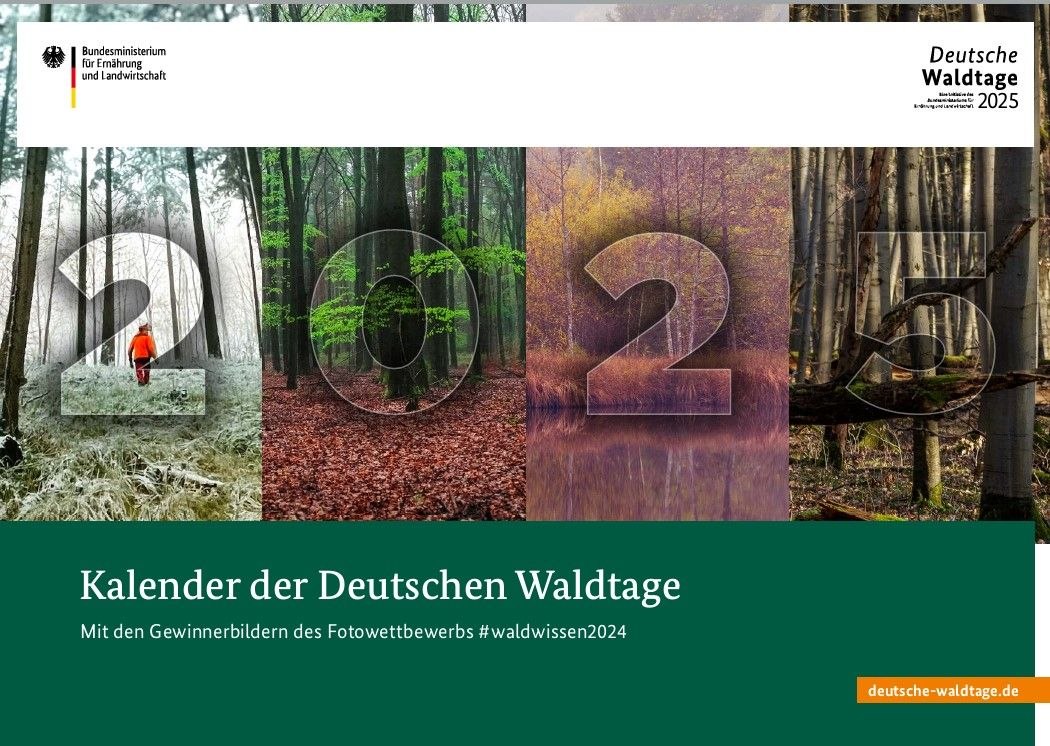 Waldvielfalt, © FNR