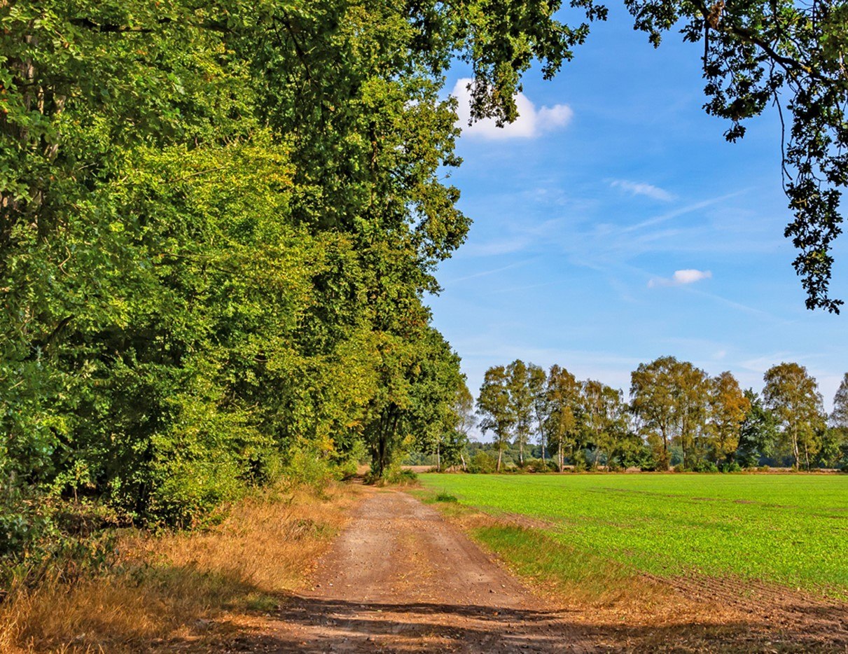 Tag des Wanderns, © Touristikverband LK ROW