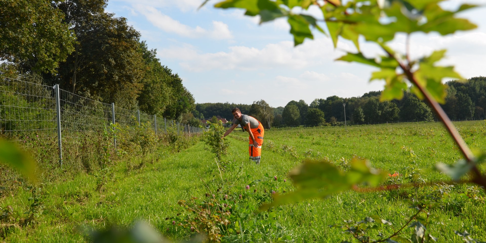 Bürgerwald, © Stadt Geestland