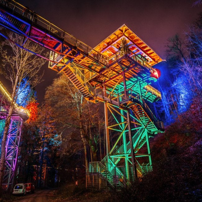 Winterwald im Baumwipfelpfad Harz, © HarzVenture