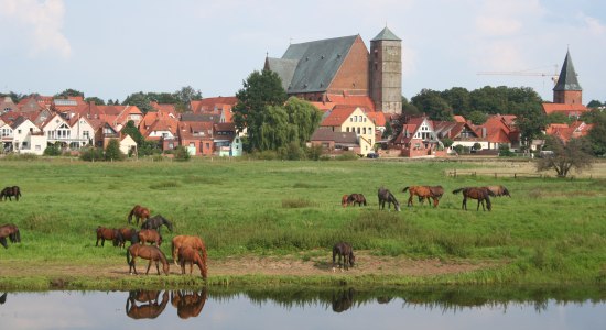 Reiterstadt Verden mit vielen Angeboten rund ums Pferd, © Mittelweser-Touristik GmbH Reiterstadt Verden mit vielen Angeboten rund ums Pferd, © Mittelweser-Touristik GmbH