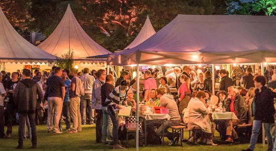 Besucher beim Weinfest im Bürgergarten, © HamelnMarketing