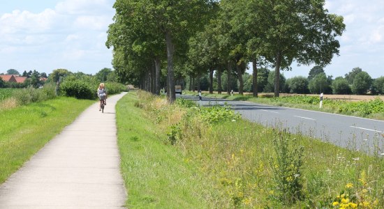 Berg-Ahorn-Allee „An der Schleuse“ bei Bolzum, © Niedersächsischer Heimatbund e.V. / Foto: Sylvie Lahmann Berg-Ahorn-Allee „An der Schleuse“ bei Bolzum, © Niedersächsischer Heimatbund e.V. / Foto: Sylvie Lahmann