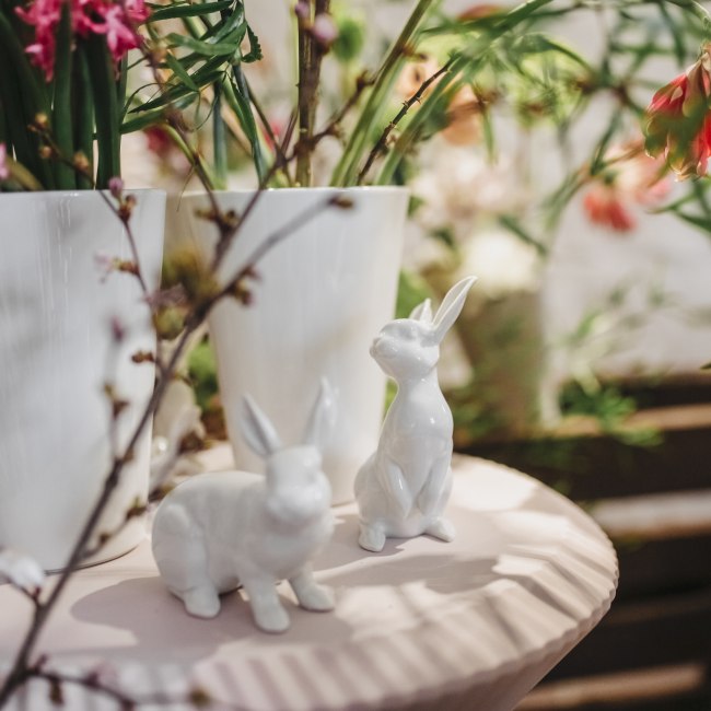 Der Fürstenberg Hase lädt ein!, © Claudia Warneke