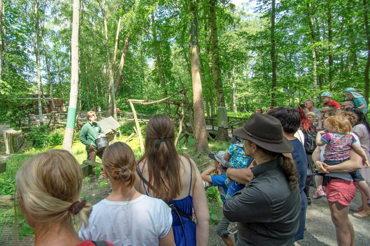 Erste „Niedersächsische Zootage“ im Herbst, © Wildpark Müden