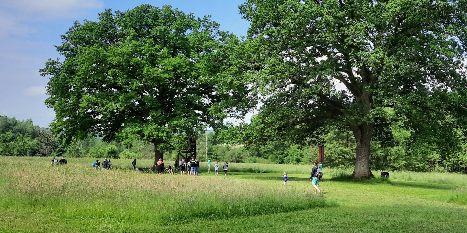 Raus in die Natur, © Barfußpark in Egestorf
