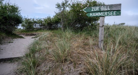 Juist Hammersee, © Lars Wehrmann Juist Hammersee, © Lars Wehrmann