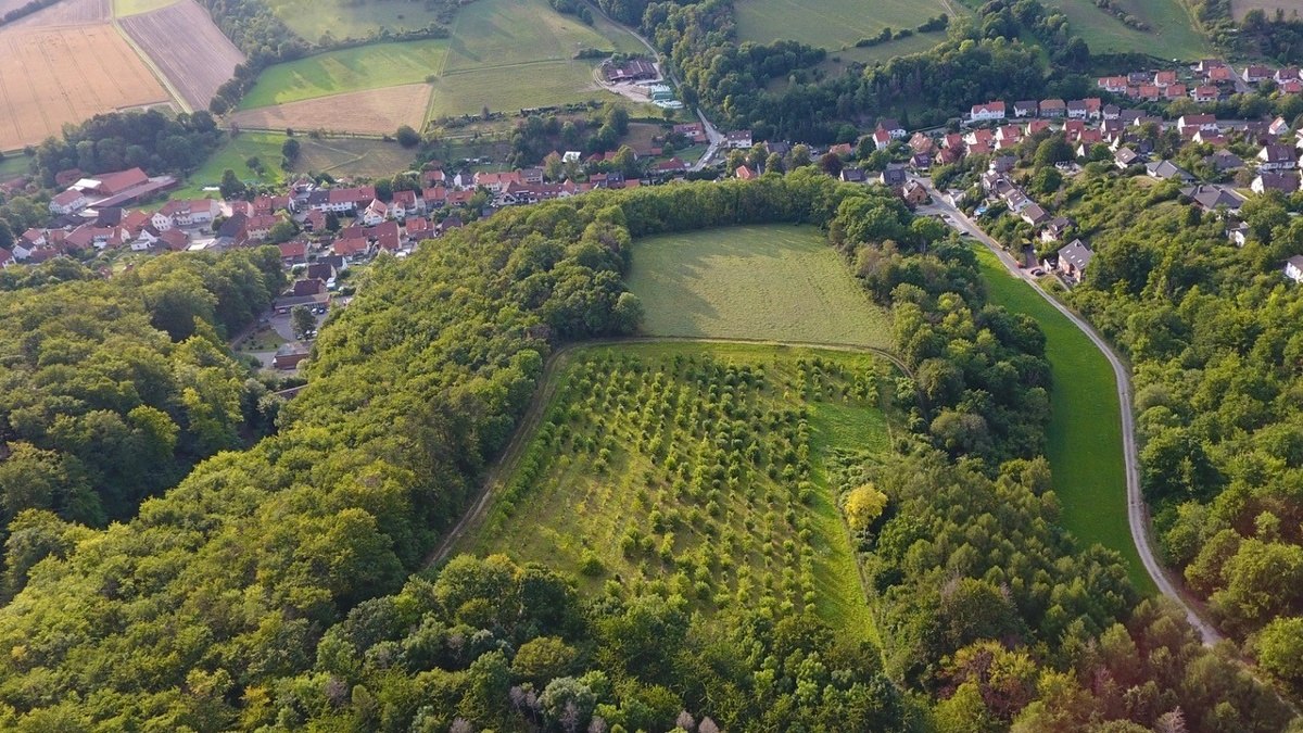 Trüffelplantage, © Fabian Sievers Trüffelplantage, © Fabian Sievers