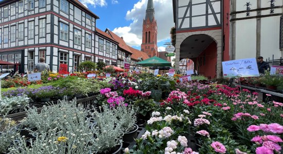 Europas schönster Wochenmarkt Nienburg, © Mittelweser-Touristik GmbH Europas schönster Wochenmarkt Nienburg, © Mittelweser-Touristik GmbH