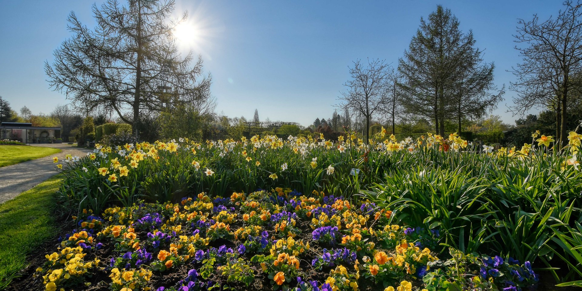 Frühlingsboten im Park, © Park der Gärten gGmbH