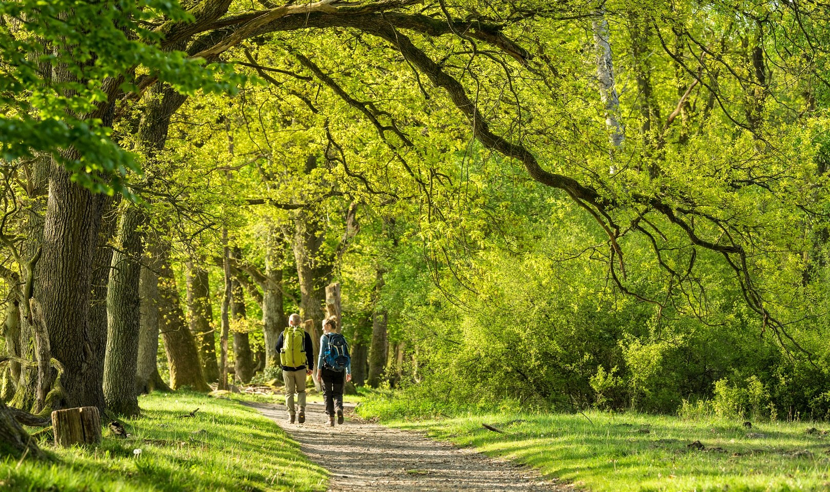 Totengrund Lüneburger Heide, © Lüneburger Heide GmbH