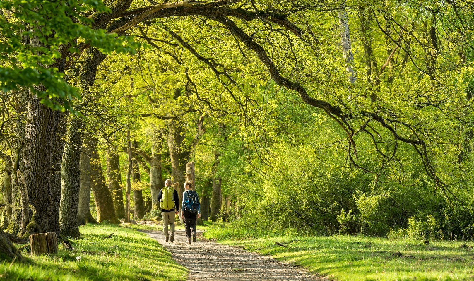 Totengrund Lüneburger Heide, © Lüneburger Heide GmbH
